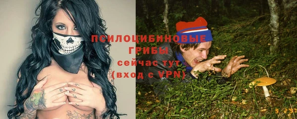 альфа пвп Медвежьегорск