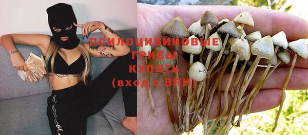 spice Медногорск