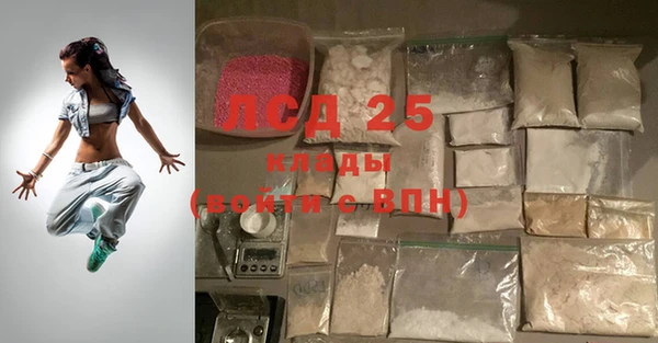 альфа пвп Медвежьегорск